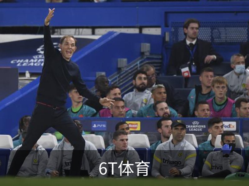 6T体育概况